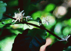 前列腺結(jié)石怎么辦