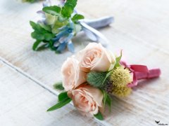 尖銳濕疣的治療費用