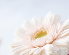 前列腺炎的癥狀