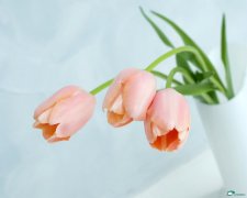 早泄要如何預防