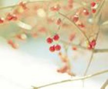 龜頭有紅點是什么病