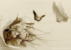 淋病的癥狀有哪些