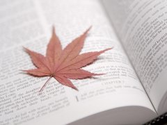 冬季為什么是治療男性功能障礙的最佳時(shí)機(jī)