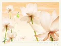 呼和浩特治療膀胱炎哪家好