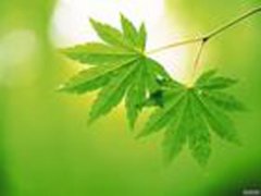 呼和浩特治療尖銳濕疣手術多少錢