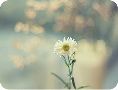 什么原因誘發(fā)尿道炎