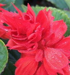 是男人就不要趴著睡