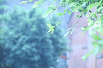 好的習(xí)慣能使你遠(yuǎn)離弱精癥