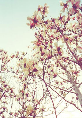 讓精子不再減少的九個基本點