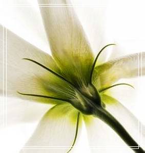 尿道畸形是怎么回事