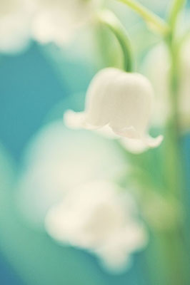 精索靜脈曲張手術后的護理很重要